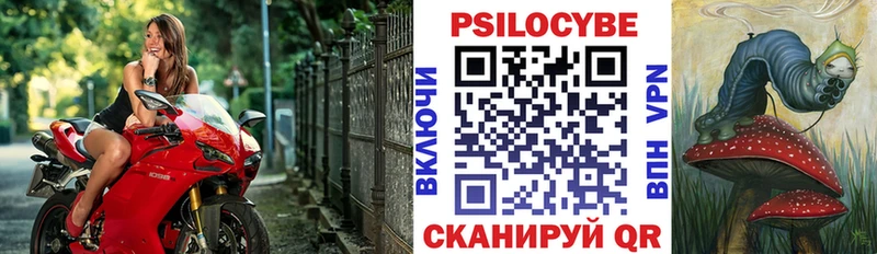 Псилоцибиновые грибы Psilocybe  купить наркотик  Красавино 